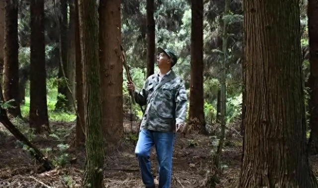 英雄联盟赛事-监守自盗！2021年，江苏一护林员2年多猎杀8只，清洗尸体时暴露